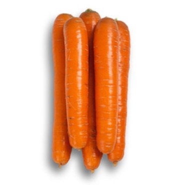 Семена моркови Джерада (Jerada RZ) F1 Нантеc тип 90 дн.