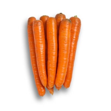 Насіння моркви Крофтон (Crofton RZ) F1