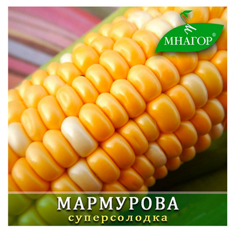Насіння кукурудзи цукрової Мармурова F1 (жовто-білий біколор, ранньостиглий 70–72 днів)
