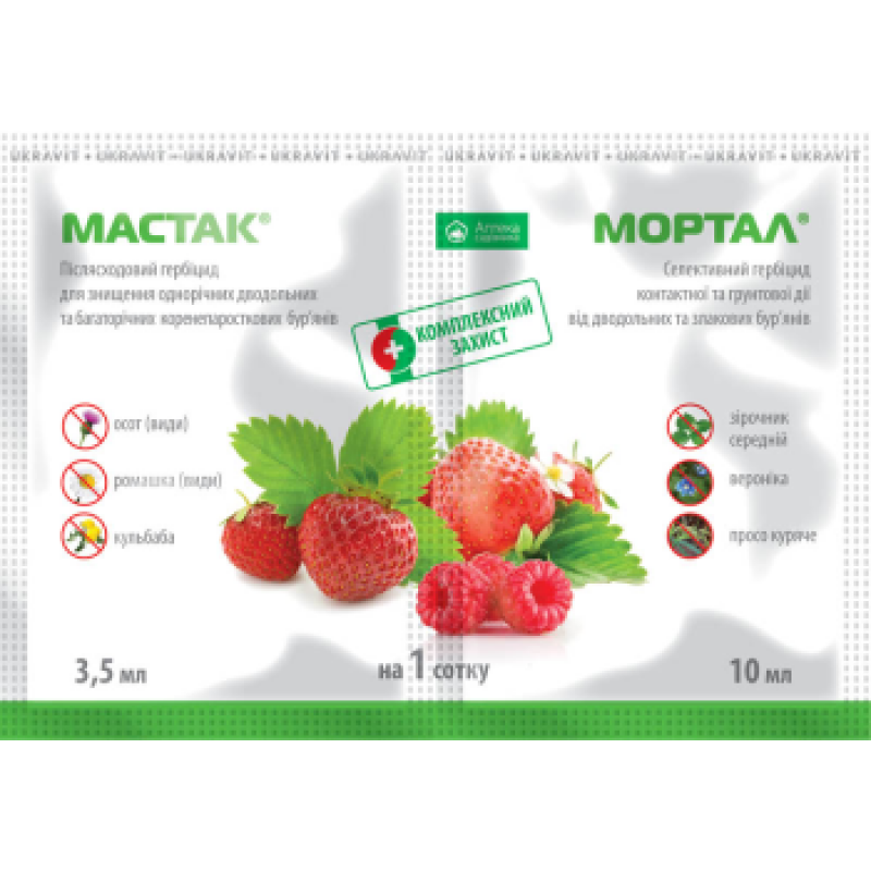 Мастак р.к. + Мортал