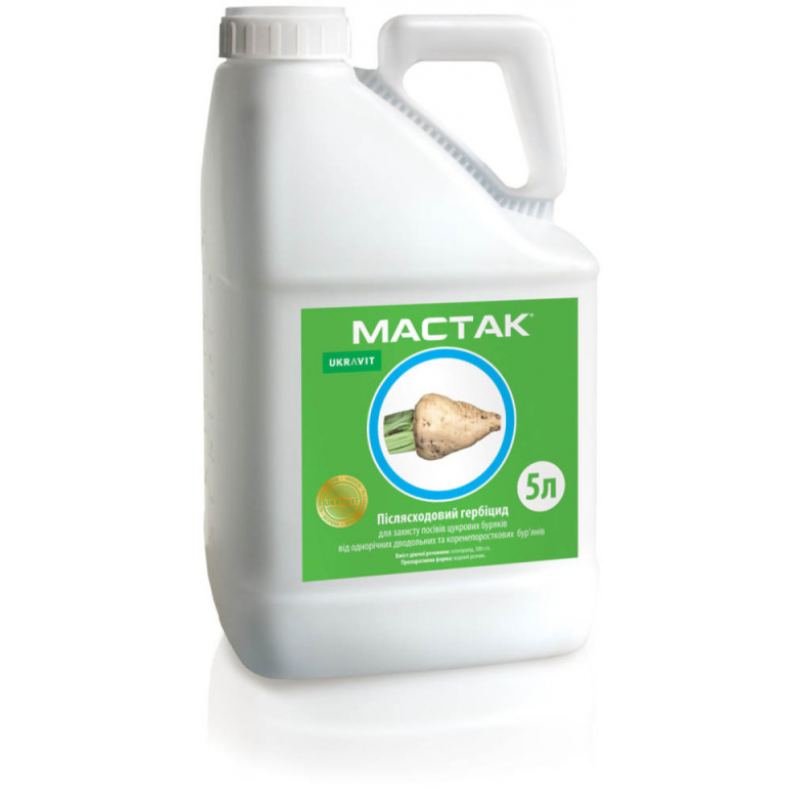 Мастак р.к.
