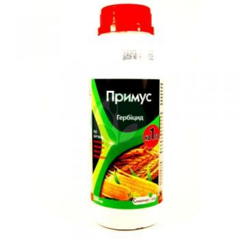 Примус к.е.