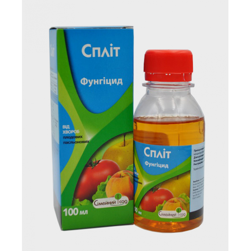 Спліт