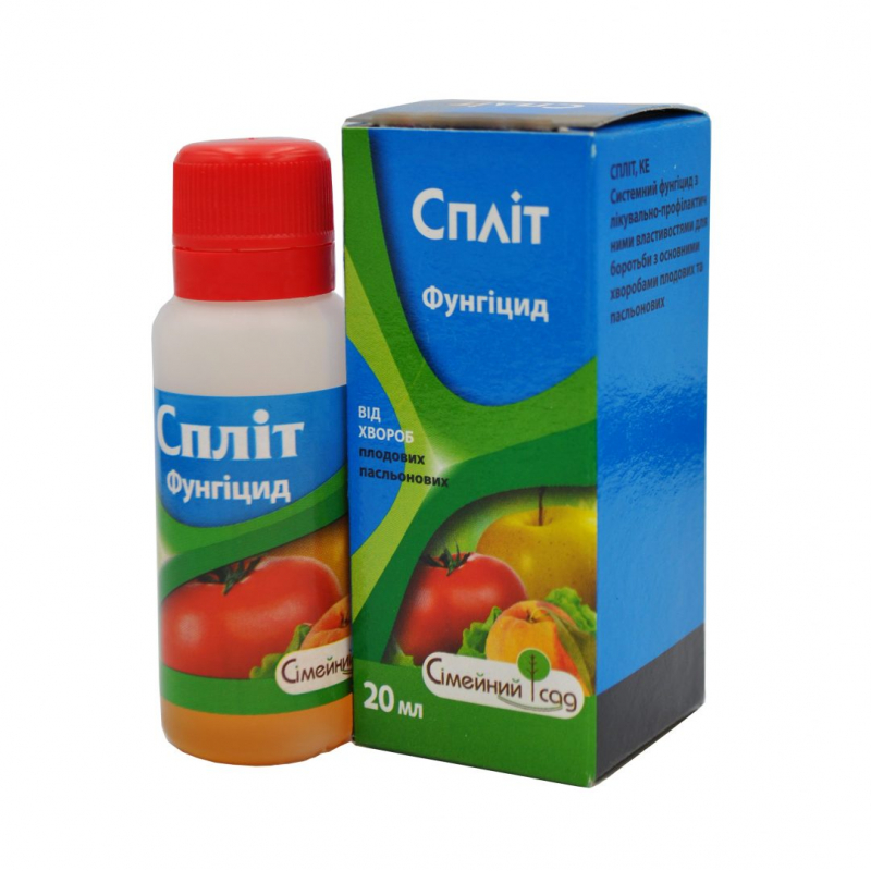 Спліт