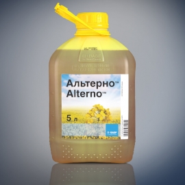Альтерно, к.э.
