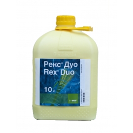 Рекс Дуо, к.э.