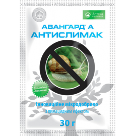 Авангард А Антислимак