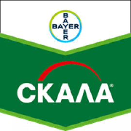 Скала 400 SC, к.с.