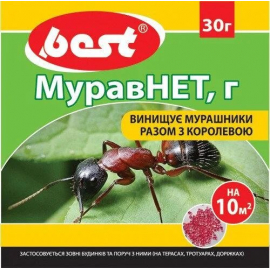 МуравНЕТ, в.г.