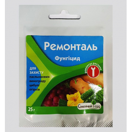 Ремонталь в.г.