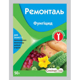 Ремонталь в.г.