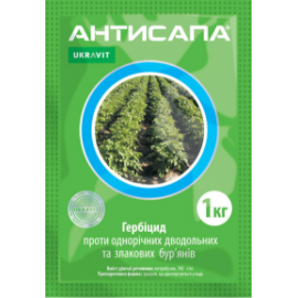 Антисапа в.г.