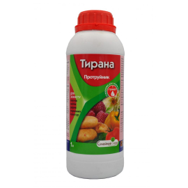 Тирана